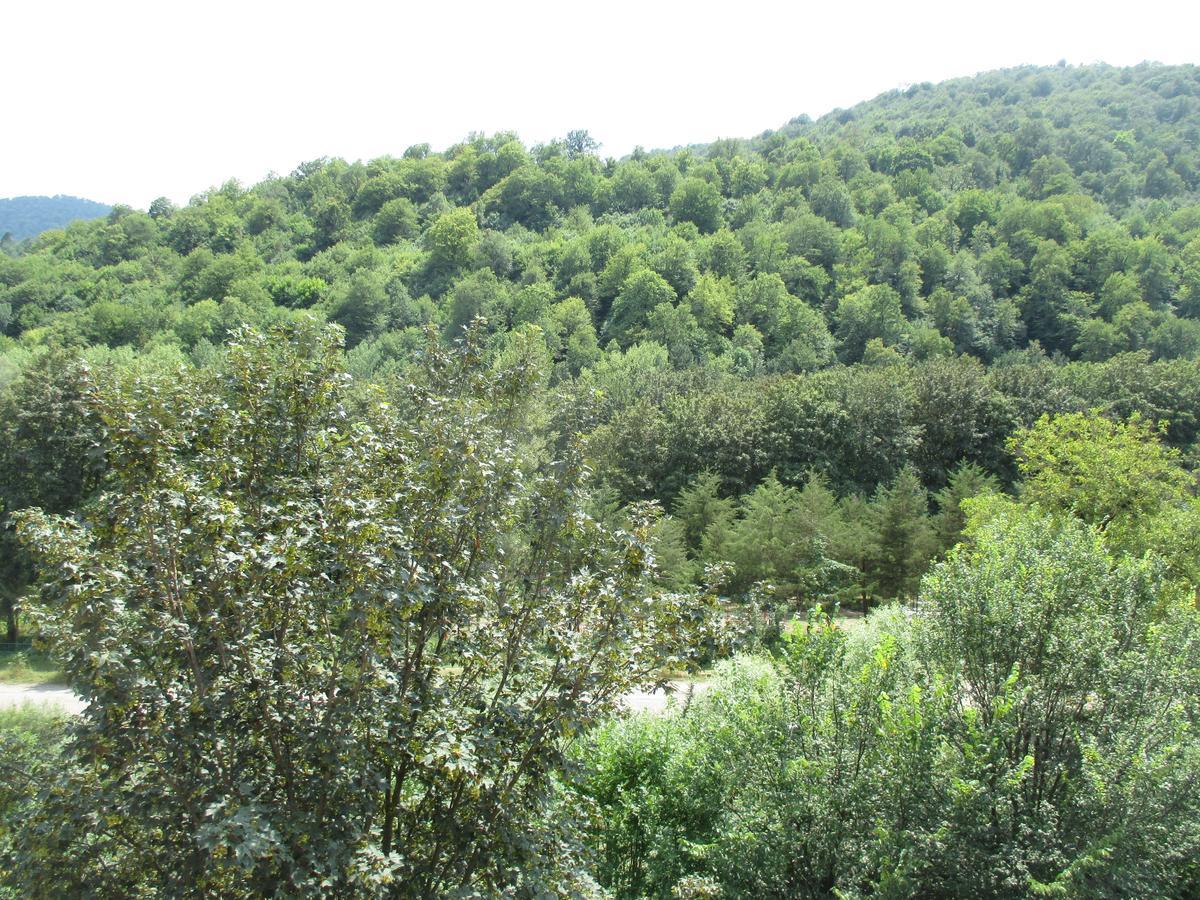 Dilijan Nice View Apartment Exterior photo