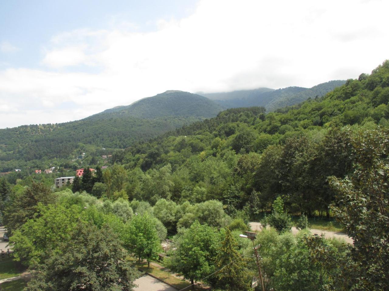 Dilijan Nice View Apartment Exterior photo